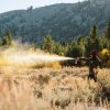 SABRE SPRAY AUTOAPARARE FRONTIERSMAN MAX URS 272ML+HUSA