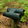 Binoclu Delta Forest II 10x50